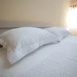 Nisajos Gjirokastër