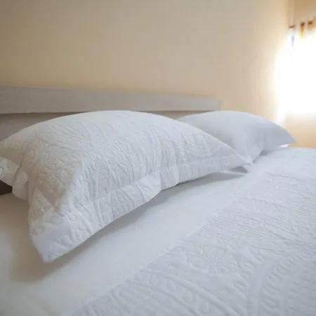 Nisajos Gjirokastër