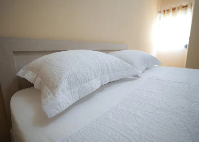 Nisajos Gjirokastër