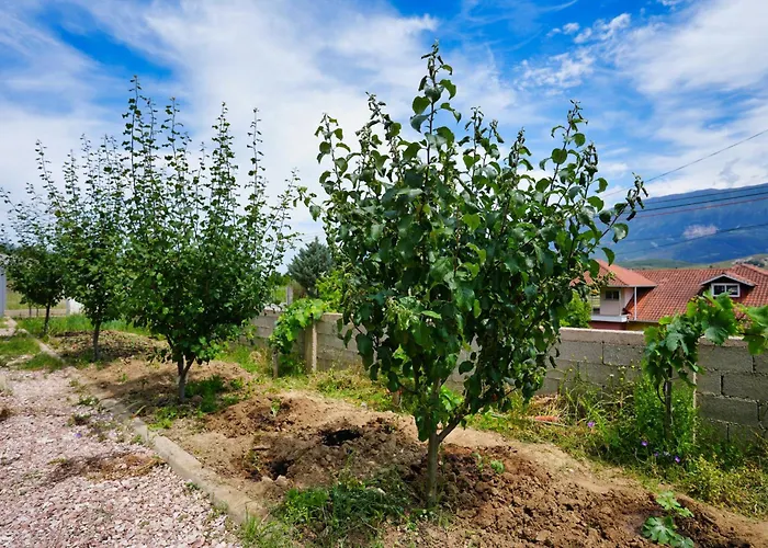 Nisajos Appartamento
